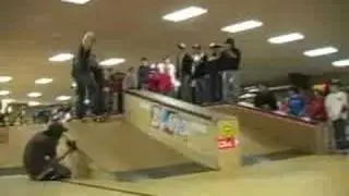 Progressive Skatepark: Fallen Demo 2006