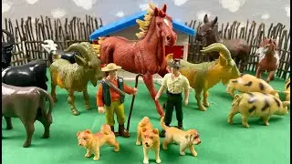 PLAYING WITH OUR MINI DOG / BRINCANDO COM O NOSSO MINI CACHORRO