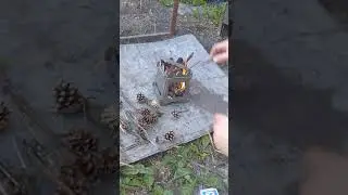 Тестовый запуск печки щепочницы