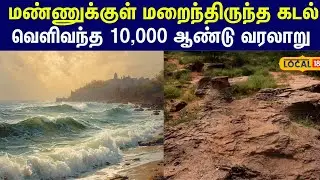 மண்ணுக்குள் மறைந்திருந்த கடல்... படிமங்களால் வெளிவந்த 10,000 ஆண்டு வரலாறு #local18