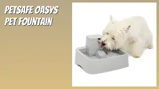 REVIEW (2025): PetSafe Oasys Pet Fountain. Features