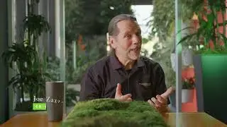 Providing Wellness In The Workplace | Plant Solutions Short  ft. Joe Zazzera