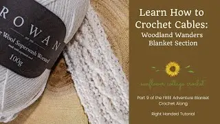 Right-Handed Crochet Cable Blanket Tutorial &ndash; Woodland Wanders Section (Adventure in Cables CAL)