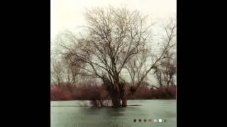 Edaline - Crescent Moon Eyes