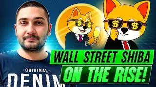 Wall Street Shiba ($STIBA) | The Memefi Project Bridging AI, DeFi & Capital Markets?