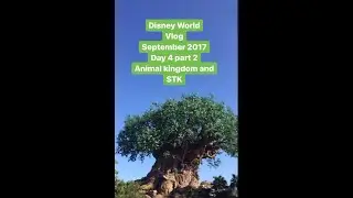 Disney World Vlog September 2017 Animal kingdom and STK day 4 part 2