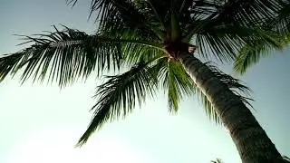 Kercheval island