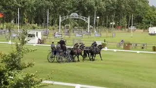 DVI 2021 Dressage, Daniel Naprous