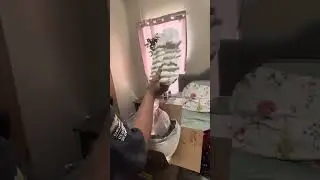 Unboxing from the big cheese rodent factory