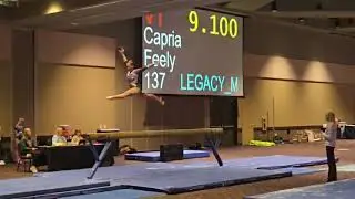 Level 10 Beam🏅9.65 - Safari Invite WD 2026 - Top 💯 Beam 2026