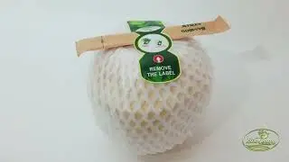 How to Open an Easy Diamond Coconut &ndash; So Simple, So Smart!