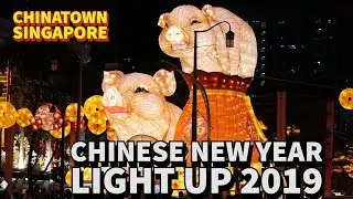 Chinatown Chinese New Year Light Up 2019
