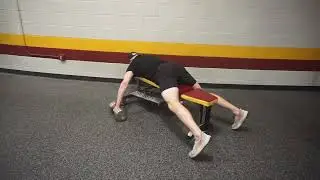 Rear Delt Chest Supported DB Isometric Yielding Fast Twitch - Fiber Density Super Method