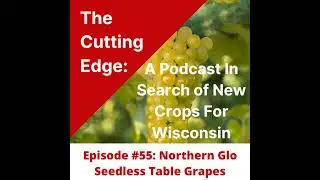 Episode #55 Northern Glo Seedless Table Grapes