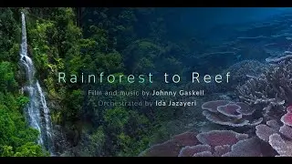 Rainforest to Reef | A Great Barrier Reef story