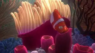 Finding Nemo - (2003) - Opening Scene