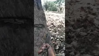 Poco f1 960 FPS super slow motion