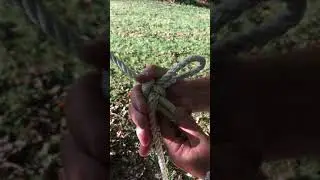 Hammock Knot