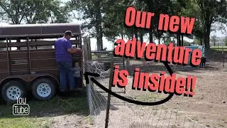 Our new ADVENTURE | Some big changes ahead for the Lazy C!!