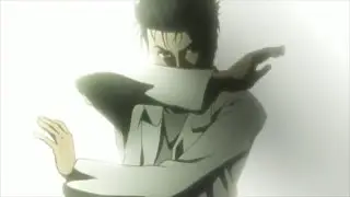 Steins Gate