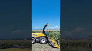 NEW HOLLAND FR920   Forage cruiser #agriculture #newhollandpower ##farmlife