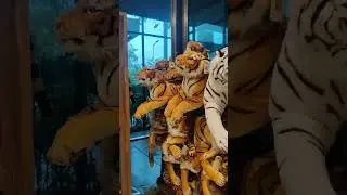 cute tiger toys #tiger #toys #youtube #short #viralshorts #instagram