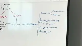 2.2. NV - HISTOLOG&Iacute;A - Tejido Nervioso 