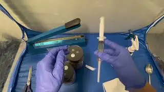 How to Inoculate Mushroom Grain Spawn Jars