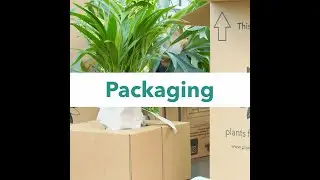 Packaging Introduction