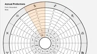 Want to know how 10th house profection year might impact you?