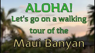 Walking Tour Of The Maui Banyan Condo Resort - Vacation Rental South Kihei Hawaii (808)240-1311