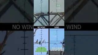 Wind vs No Wind | Calculated Long-Range Ballistics | Air Gun #fxairguns