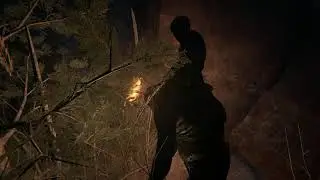 outlast 2 (3rd person) job