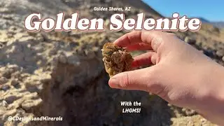 Rockhounding for Golden Selenite Crystals in Arizona! 🏜️🌵  @ElleyKnowsRocks  ​