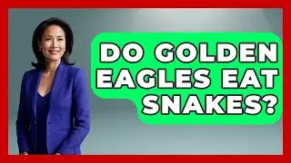 Do Golden Eagles Eat Snakes? - Bird Watching Diaries