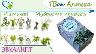 Фиточай Мудрость природы ЭВКАЛИПТ - показания, описание, отзывы