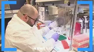 DC crime lab gets a reboot two years after losing accreditation | NewsNation Now
