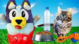 BABY BLUEY Learns How to Care for Cats