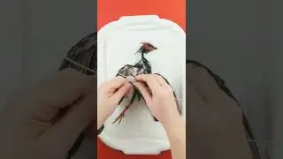 Crested Partridge Bird Taxidermy