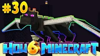 How To Minecraft 6: AN *INSANE* CUSTOM ENDERDRAGON FIGHT! (#30)