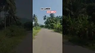 #djigimbal #testvideos #trending #naturelovers #naturephotography