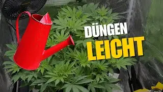 Cannabis richtig d&uuml;ngen: pH, EC & CalMag verst&auml;ndlich erkl&auml;rt