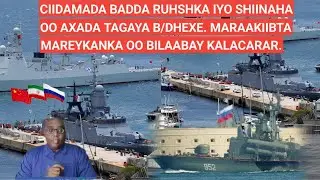 BARN.2AAD: CIIDAMADA BADDA RUHSHKA IYO SHIINAHA OO AXADA TAGAYA B/DHEXE. MARAAKIIBTA MAREYKANKA OO