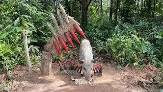 Amazing Quick Powerful Wild Pig Trap Make By Sharp wood with rice #campping #animals #wildlife 