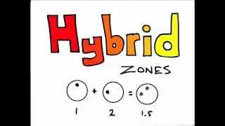 The Wonderful World of Evolution: Hybrid Zones