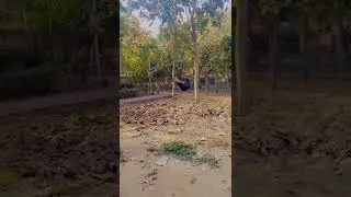 Check Out My Frist Double Black Flip 🤗/