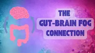 One Major Cause of Brain Fog Spiraling Out of Control Is Your Gut Inflammation!