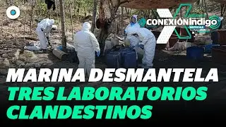 Desmantelan laboratorios clandestinos en Durango, Sinaloa y Michoac&aacute;n | Reporte Indigo