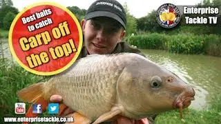 Learn how to catch carp off the top - great tips and advice!