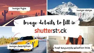 How to fill out details for an image on SHUTTERSTOCK CONTRIBUTOR